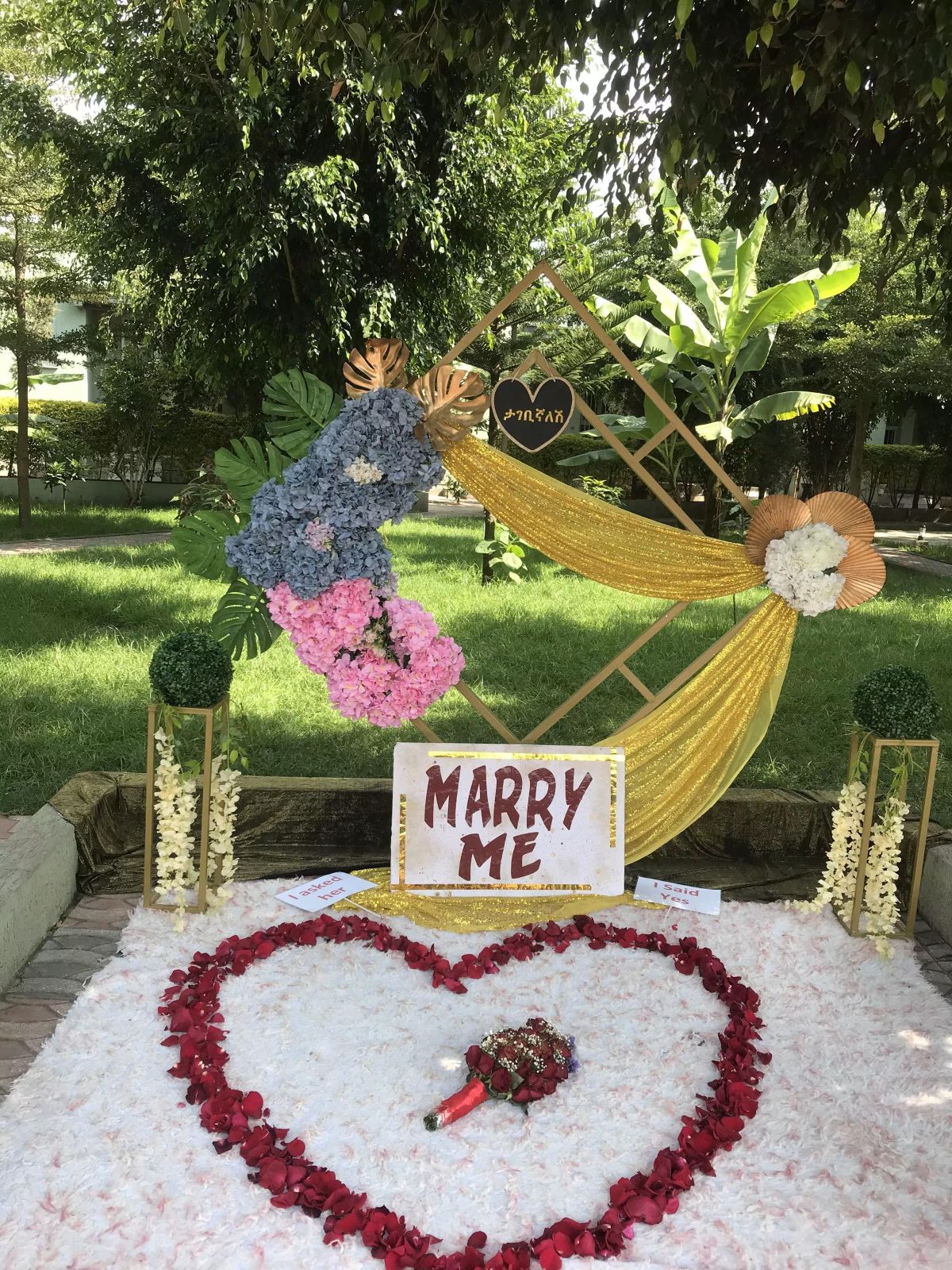 Engagement - F0y6n74qcnk1crzdzsrn
